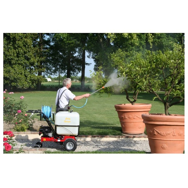 Vendita online Motopompa Carry Sprayer